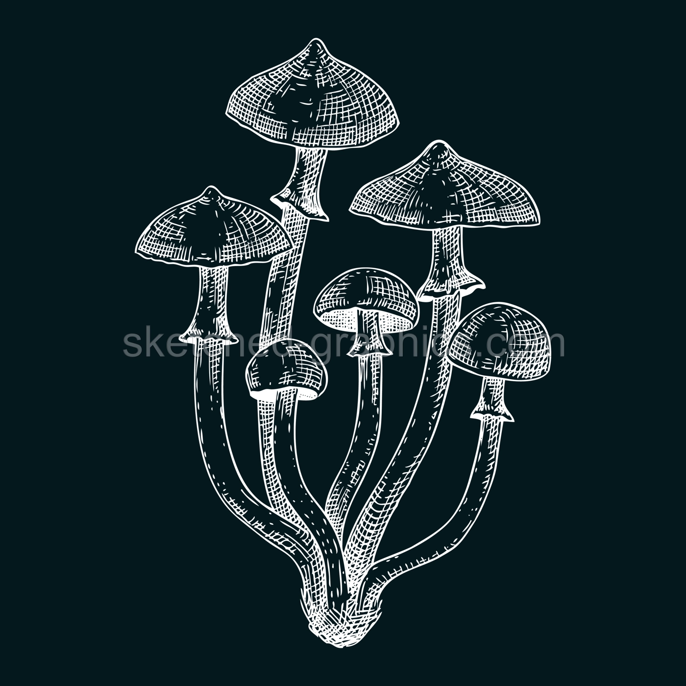 Autumn skullcap mushroom sketch. Poisonous plants drawing on chalkboard. Deadly fungus vector illustration, Galerina, forest plant in vintage style.  Illustration